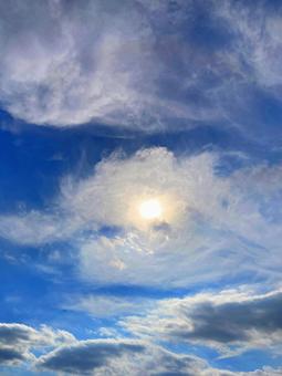 夏空 夏空の写真