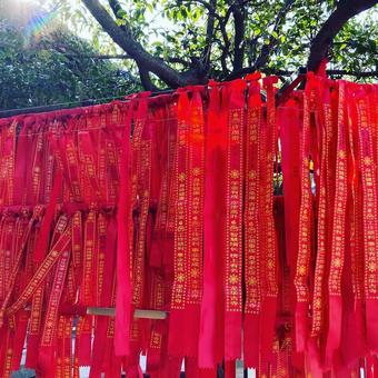 Temple of china Temple of chinaの写真