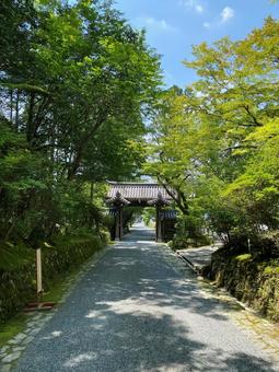 京都・赤山禅院の参道 赤山禅院,京都観光,京都寺院の写真素材