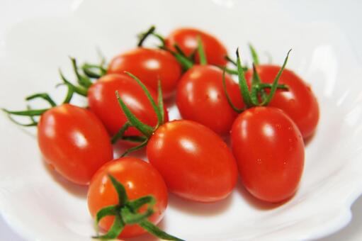 美味しそうなミニトマト（アイコ） ミニトマト,植物,野菜の写真素材