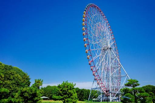 葛西臨海公園のひまわり畑2025夏10 葛西臨海公園のひまわり畑2025夏10 葛西臨海公園,大観覧車,ひまわりの写真素材