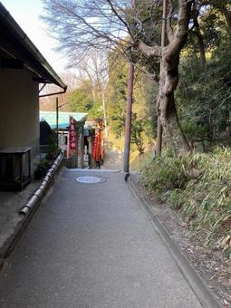 京都 京都の写真