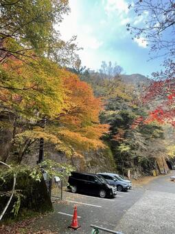 錦秋の渓谷 山,森,川の写真素材