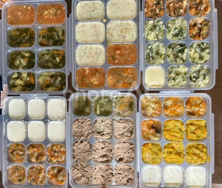 手作り離乳食のイメージ 離乳食,卵,黄身の写真素材