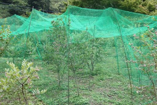 Bird protection net, JPG Bird protection net, JPG