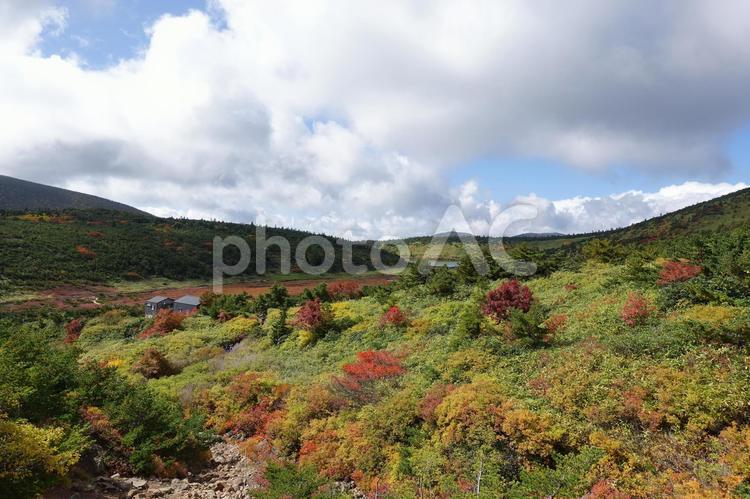 秋　一切経山　紅葉 紅葉,もみじ,秋の写真素材