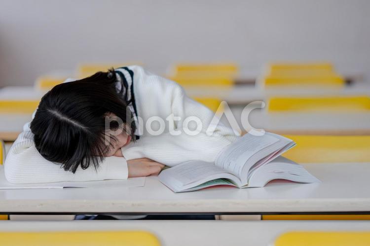 寝落ちする学生 受験,勉強,学習の写真素材