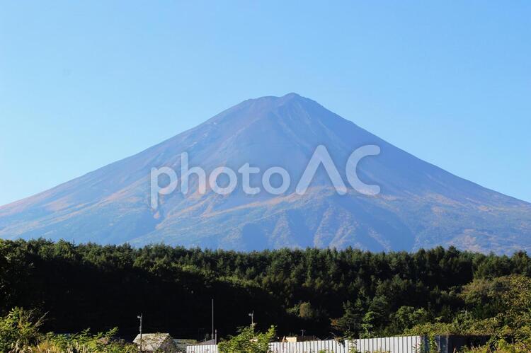 初秋の富士山（山梨側） 富士山,秋,紅葉の写真素材