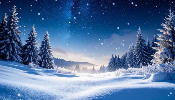 雪に包まれた森と星空の風景の写真