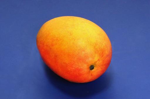 Photo, plant, fruit, fruits, 