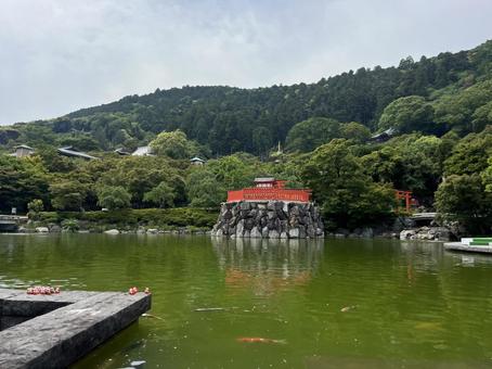 勝尾寺 勝尾寺の写真