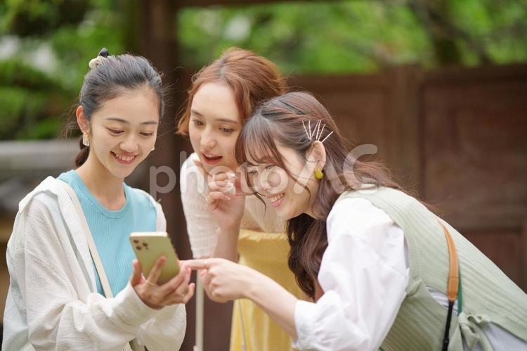 公園でスマートフォンを見ている3人の女性 女子旅,女性,日本人の写真素材