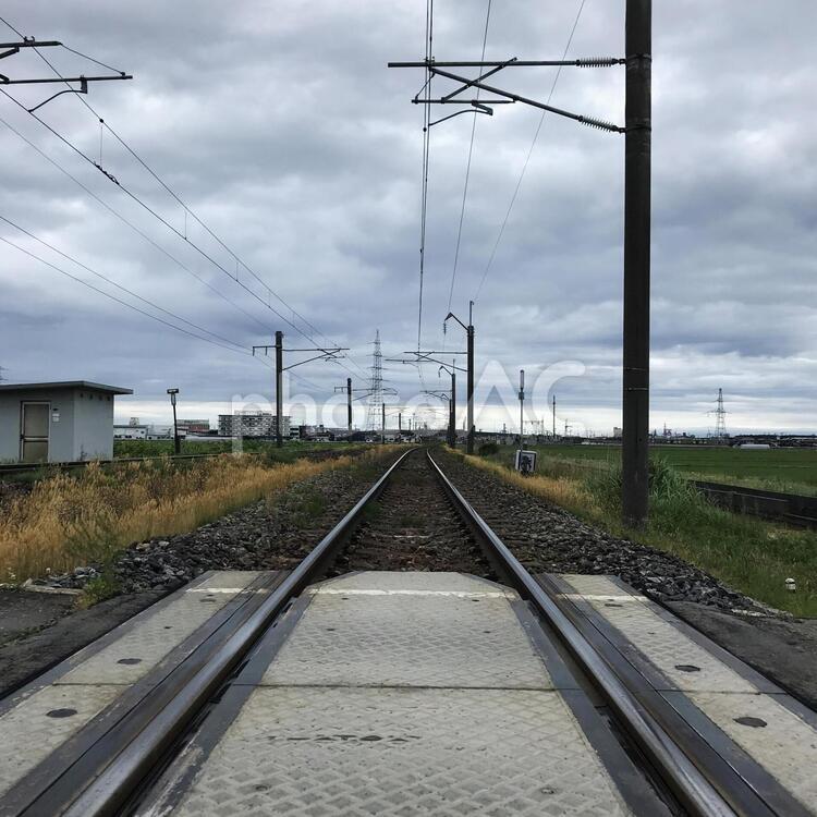 踏切と線路 線路,踏切,未来の写真素材