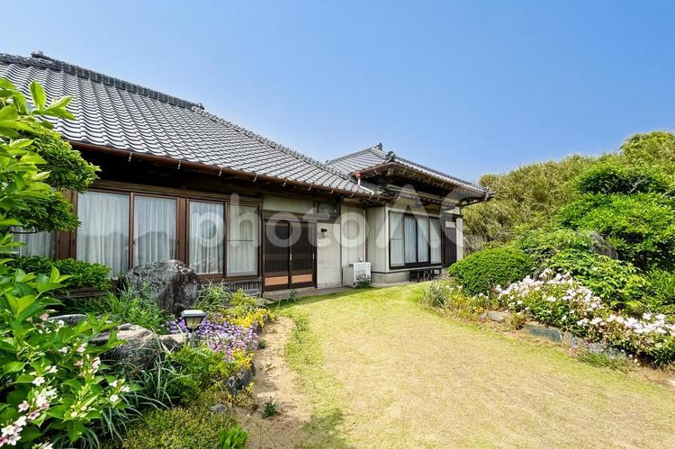 ハコネウツギが美しい広い庭を持つ日本家屋 日本家屋,民家,和風建築の写真素材