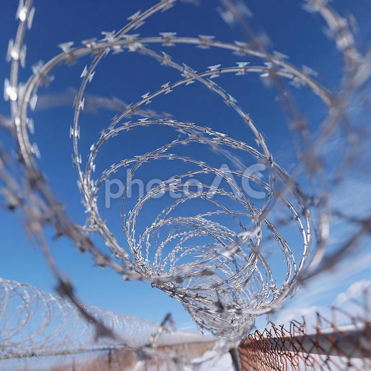 安全と隔離を象徴する有刺鉄線 有刺鉄線,鉄条網,警備の写真素材