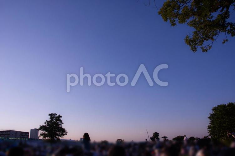 夏の夕暮れ時 夕暮れ時,夏,夕方の写真素材