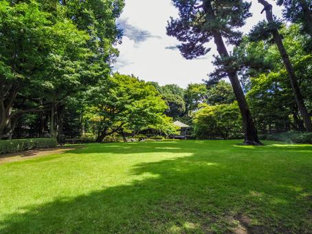 【東京都】荻窪・大田黒公園 【東京都】荻窪・大田黒公園の写真