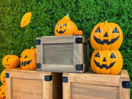 秋のかぼちゃ祭り 秋のかぼちゃ祭り 秋,ハロウィン,かぼちゃの写真素材