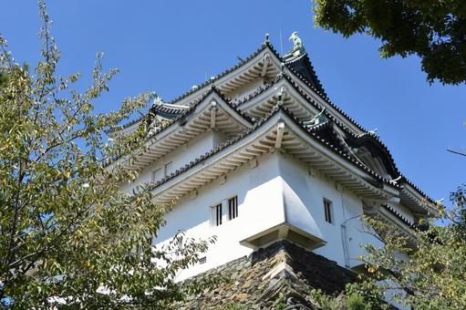 和歌山城 和歌山城 和歌山城,和歌山県,城の写真素材