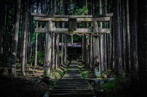 京都　賀茂神社の風景 京都,京都府,京都市の写真素材