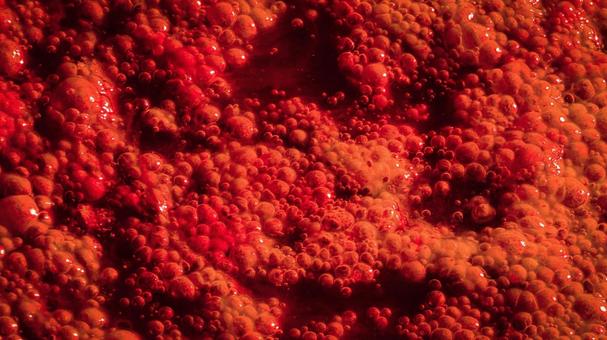 ホラーイメージ ホラー,内臓,血液の写真素材