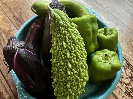 夏野菜盛り合わせ2 夏野菜盛り合わせ2 食べ物,植物,きゅうりの写真素材