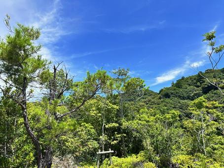 熊野古道 大辺路付近 熊野古道 大辺路付近の写真