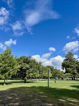 カナダの夏の終わりの公園 公園,青空,夏の写真素材
