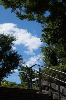 Blue sky, clouds and greenery (Park 2), JPG