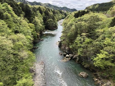 渓谷 渓谷の写真