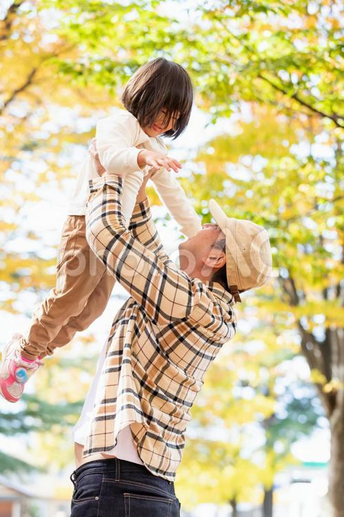 秋の公園で遊ぶ父親と子供 親子,子供,キッズの写真素材