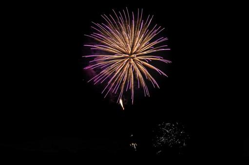 ライトパープルの打ち上げ花火 ライトパープルの打ち上げ花火の写真