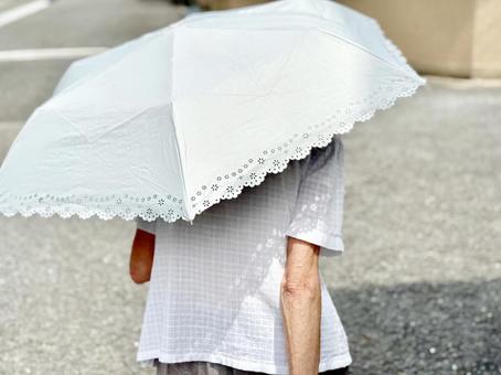日傘をさして歩く高齢女性の後姿 日傘をさして歩く高齢女性の後姿 日傘,パラソル,傘の写真素材