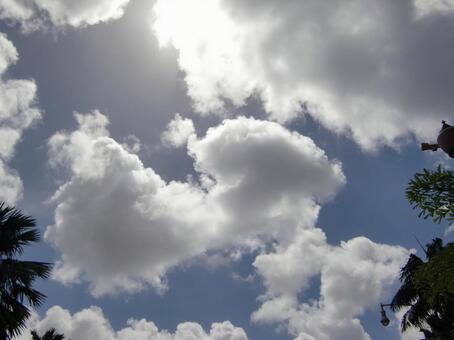 たくさんの雲 たくさんの雲の写真