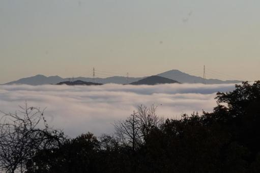 秋の雲海 雲海,霧,自然の写真素材