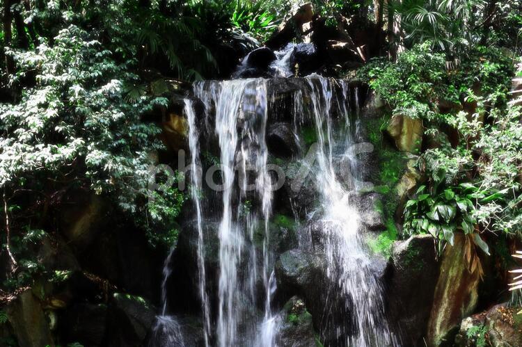 涼しげな滝のある風景 背景,壁紙,自然環境の写真素材