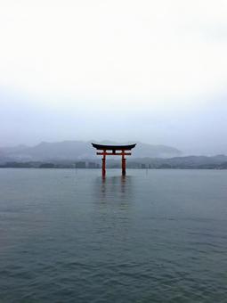 広島・安芸の宮島 厳島神社 鳥居 広島・安芸の宮島 厳島神社 鳥居 宮島,厳島神社,絶景の写真素材