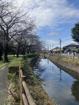 公園④ 公園④の写真