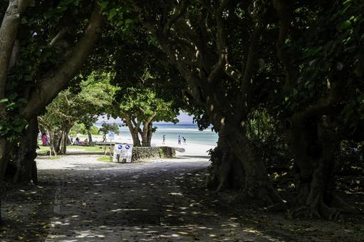 沖縄-【竹富島-竹富島の風景】 沖縄-【竹富島-竹富島の風景】 海,青,青空の写真素材