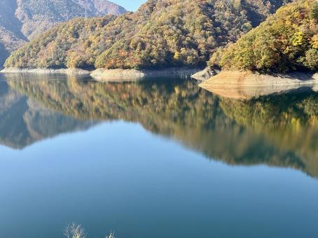 秋の福井県の九頭竜ダム　紅葉に色づく湖 秋,道路,晩秋の写真素材