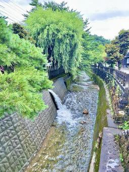 高山の川 高山の川の写真