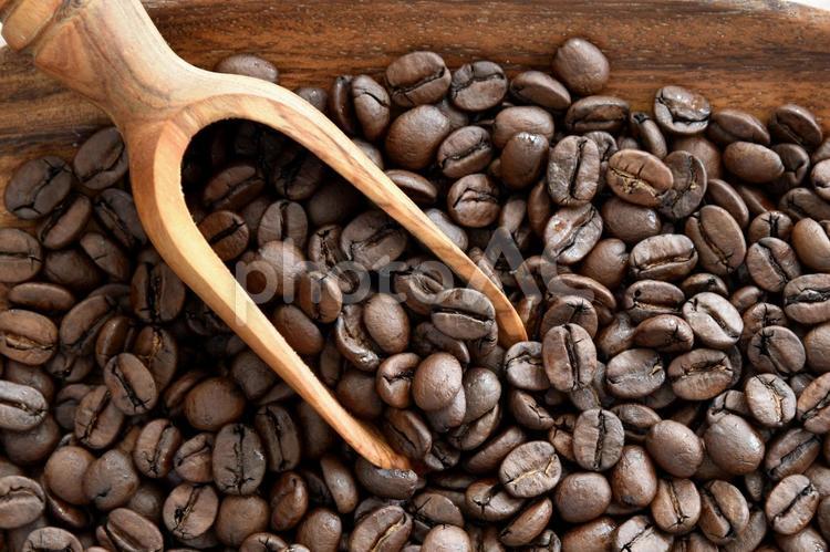 コーヒー豆　イメージ コーヒー豆,珈琲豆,coffeeの写真素材