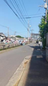歩道- 戸畑区 牧山 歩道- 戸畑区 牧山の写真