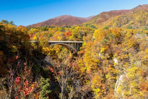 鳴子峡の秋-Vol.4⑾ 渓谷,峡谷,鳴子峡の写真素材