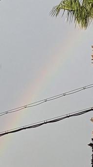 虹 虹の写真
