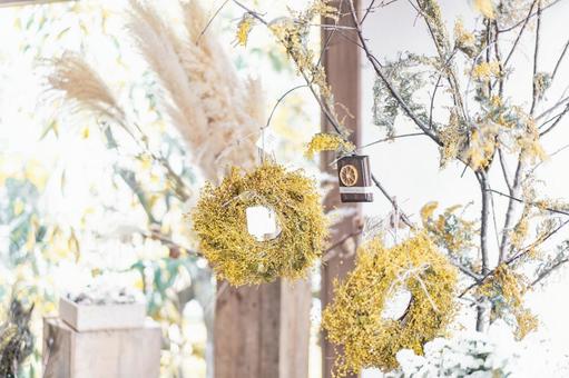 Photo, mimosa, flower shop, spring, 