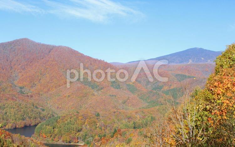 秋の紅葉の山の風景 屋外,山,景色の写真素材