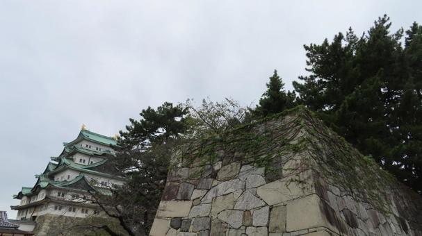 名古屋城　天守　大天守 名古屋城,尾張徳川家,御三家の写真素材