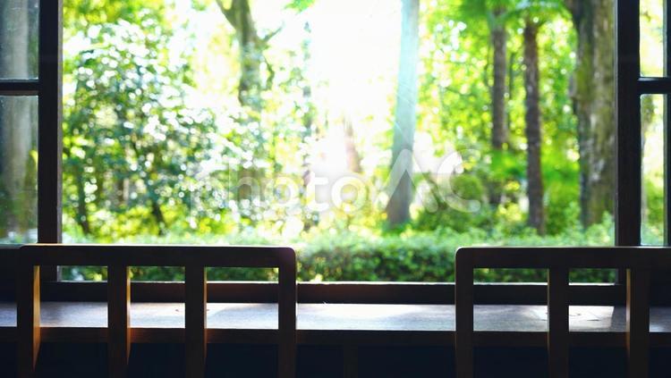 レトロな椅子の並ぶ部屋、窓から見える緑 古民家,昭和,レトロの写真素材