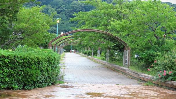 金ヶ崎緑地(福井県敦賀市) 金ヶ崎緑地(福井県敦賀市)の写真